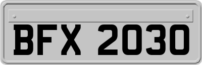 BFX2030