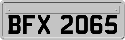 BFX2065
