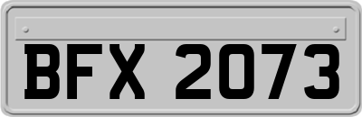 BFX2073