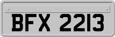 BFX2213