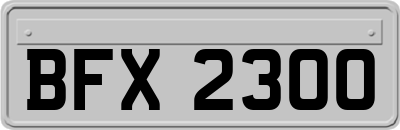 BFX2300