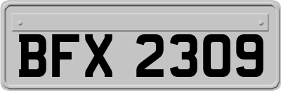 BFX2309