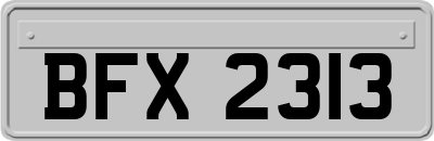 BFX2313