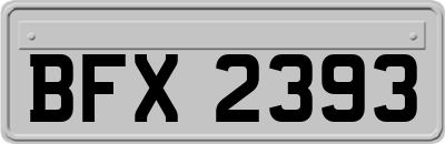 BFX2393