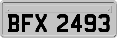 BFX2493