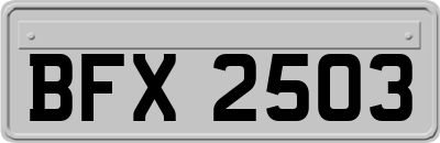 BFX2503