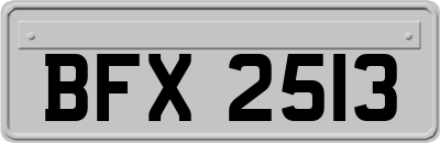 BFX2513