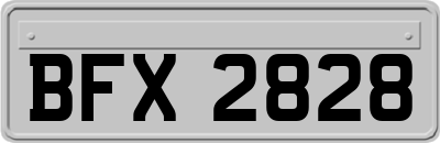 BFX2828