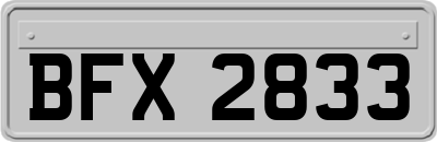 BFX2833