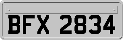 BFX2834