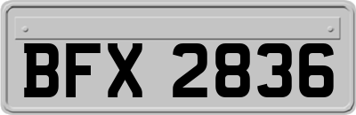 BFX2836