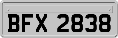 BFX2838