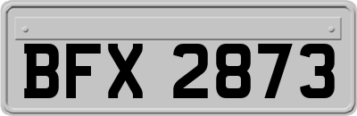 BFX2873