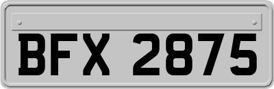 BFX2875