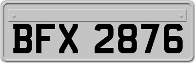 BFX2876