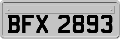 BFX2893