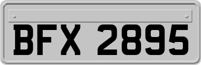 BFX2895
