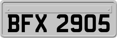 BFX2905