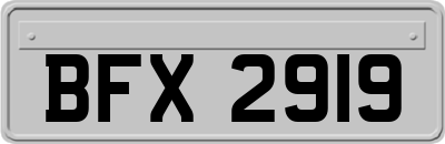 BFX2919