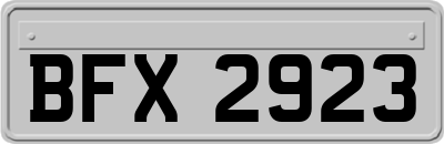 BFX2923