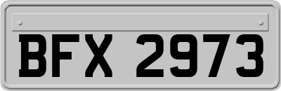 BFX2973