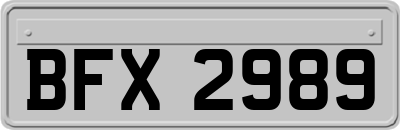 BFX2989