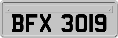 BFX3019