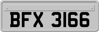 BFX3166