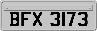 BFX3173