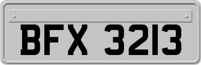 BFX3213
