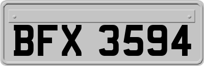 BFX3594