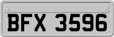 BFX3596