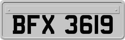 BFX3619