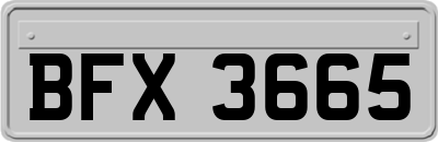 BFX3665