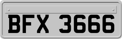 BFX3666