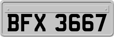 BFX3667
