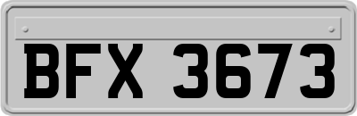BFX3673