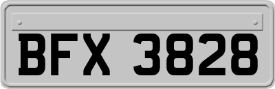BFX3828