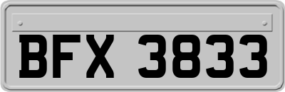 BFX3833