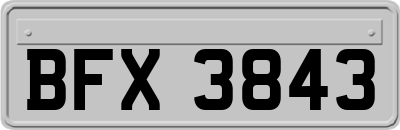 BFX3843