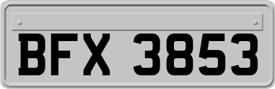 BFX3853