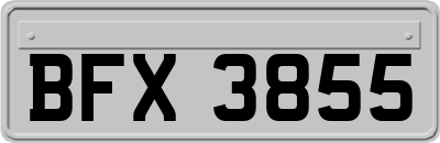 BFX3855