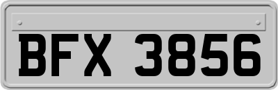 BFX3856