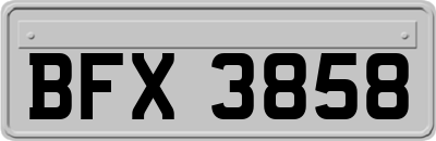 BFX3858