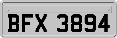 BFX3894