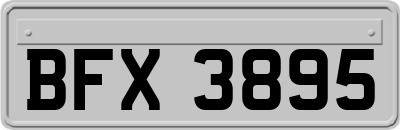 BFX3895