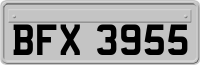 BFX3955
