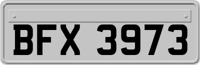 BFX3973