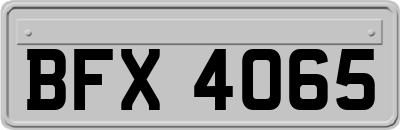 BFX4065