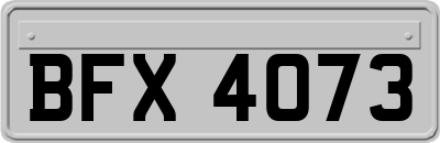BFX4073